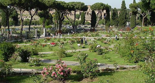 Roseto comunale di Roma